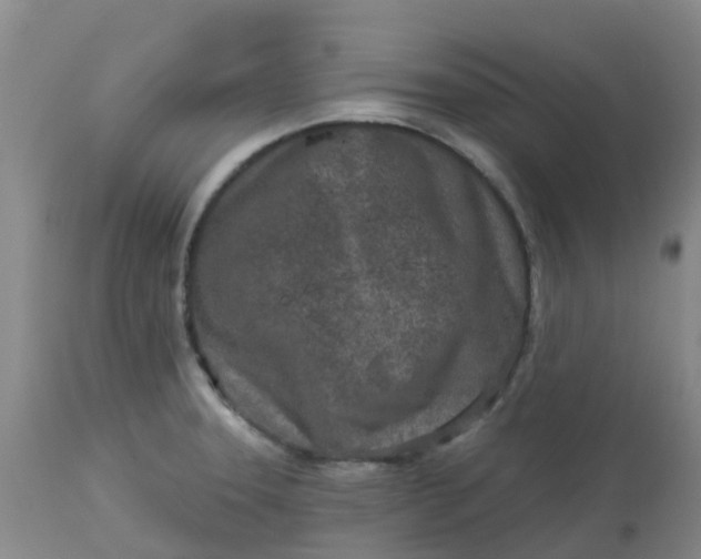 X0000113121331200909111130