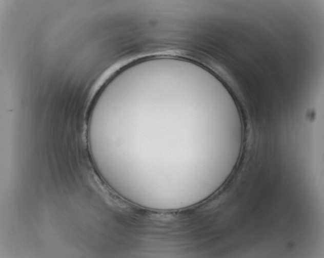 X0000113121332200909111130