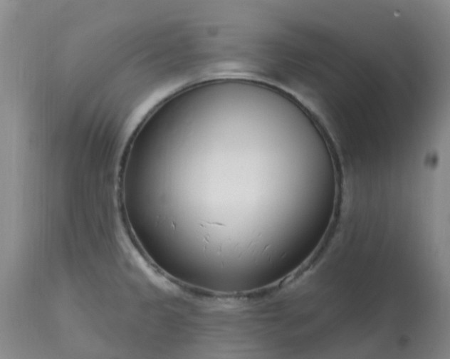 X0000113121333200909111130