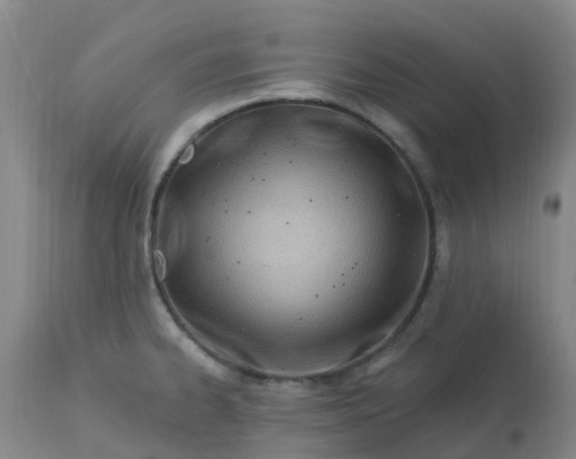 X0000113121334200909111130