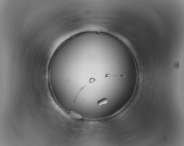 X0000113121335200909111130