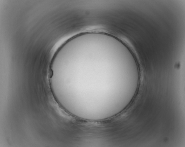 X0000113121336200909111130