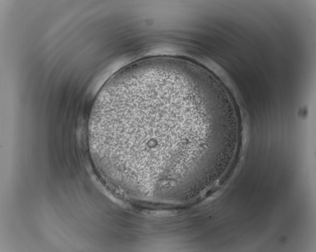 X0000113121337200909111130