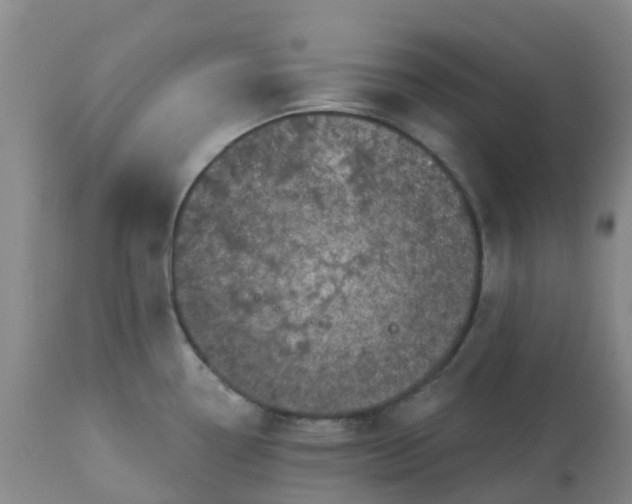 X0000113121338200909111130