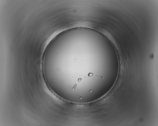 X0000113121339200909111130