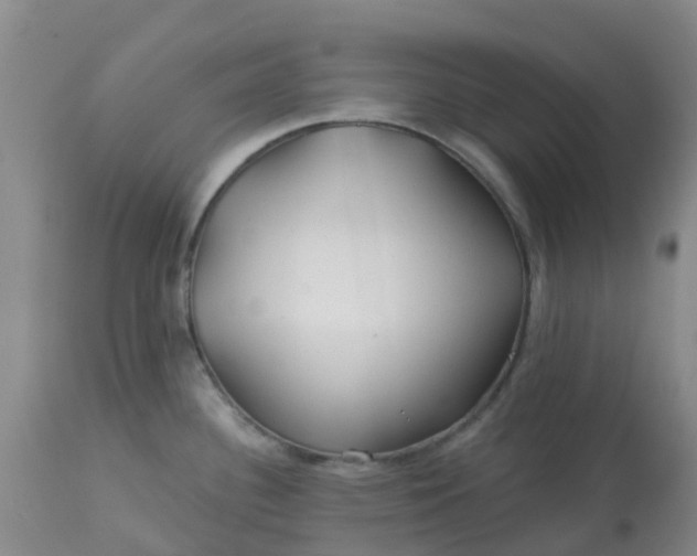 X0000113121340200909111130