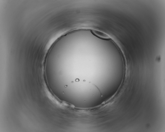 X0000113121341200909111130