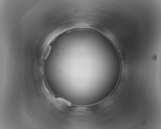 X0000113121342200909111130