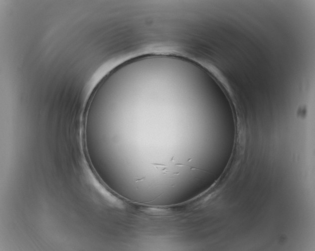 X0000113121343200909111130