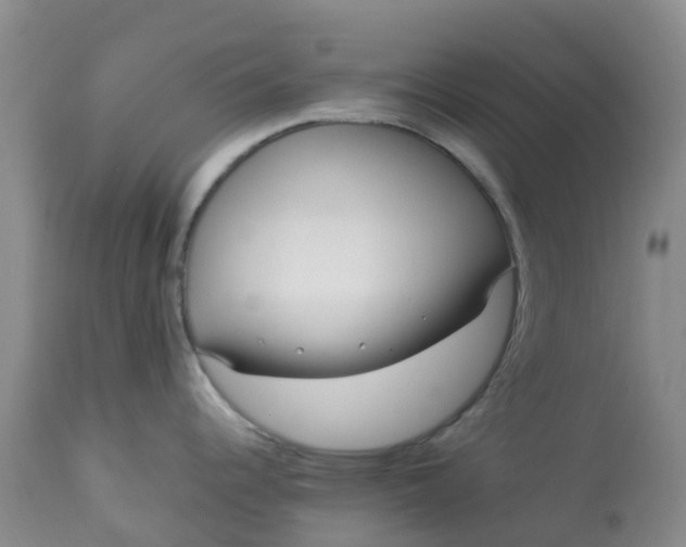 X0000113121344200909111130