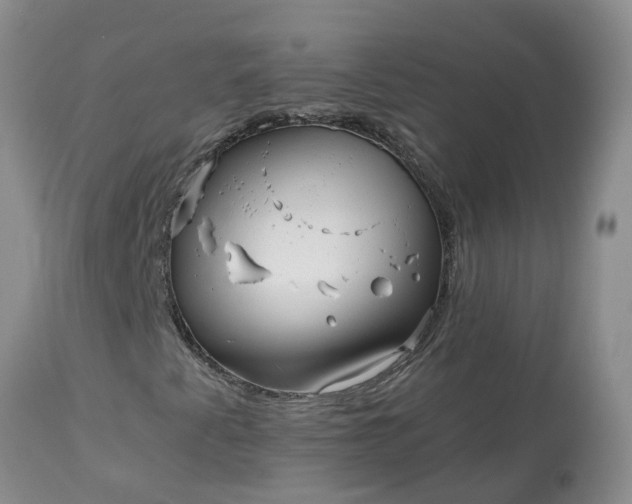 X0000113121345200909111129