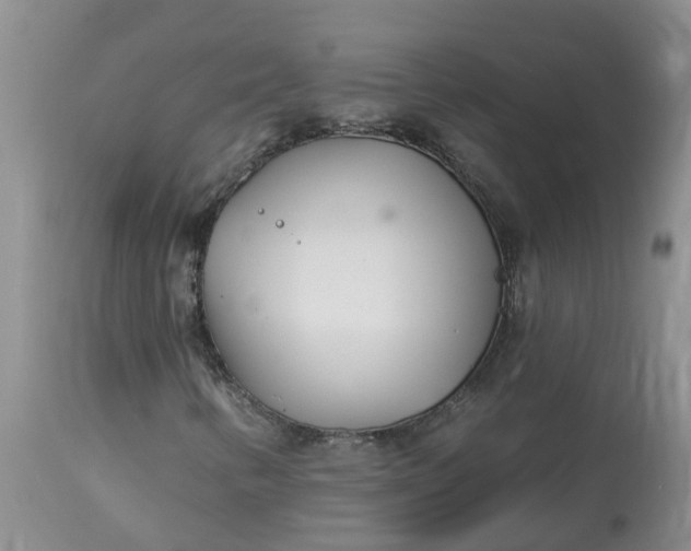 X0000113121346200909111129