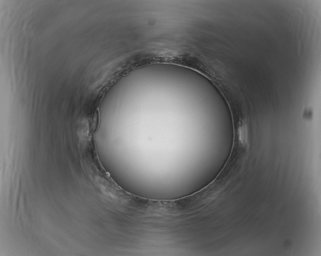 X0000113121347200909111129