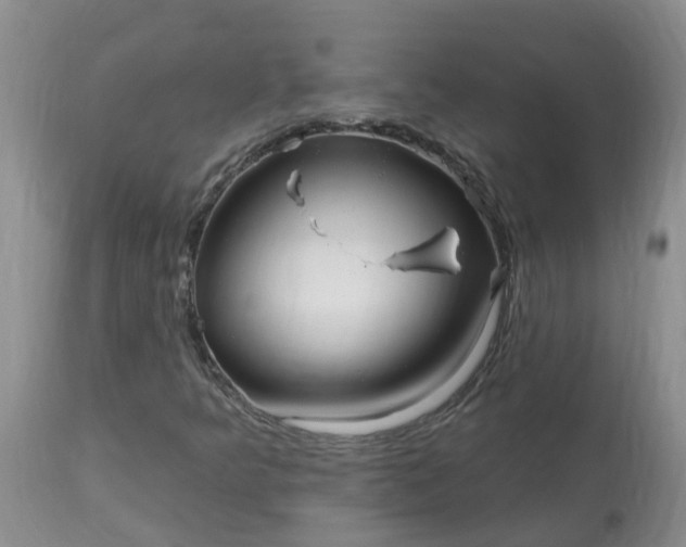 X0000113121349200909111129