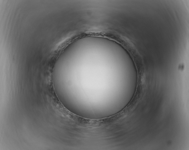 X0000113121350200909111129