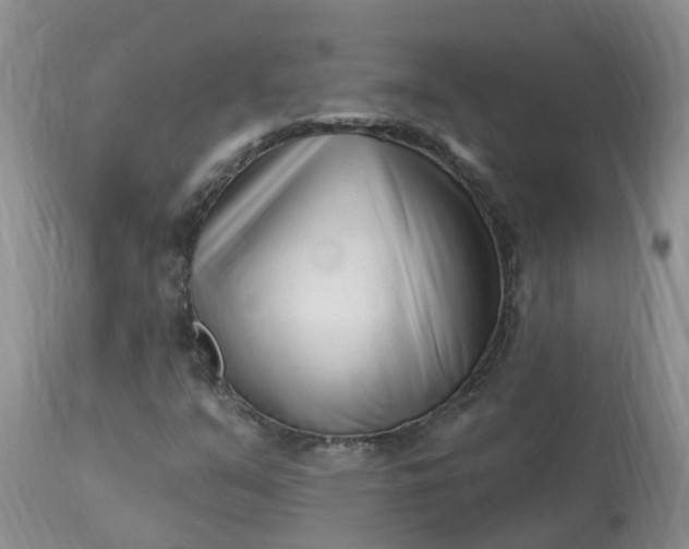 X0000113121351200909111129