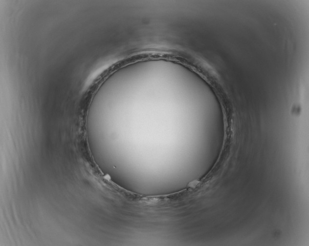 X0000113121352200909111129