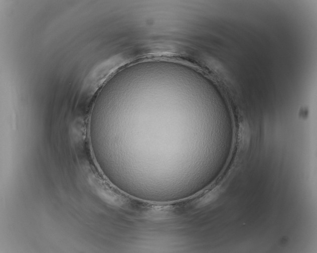 X0000113121353200909111129