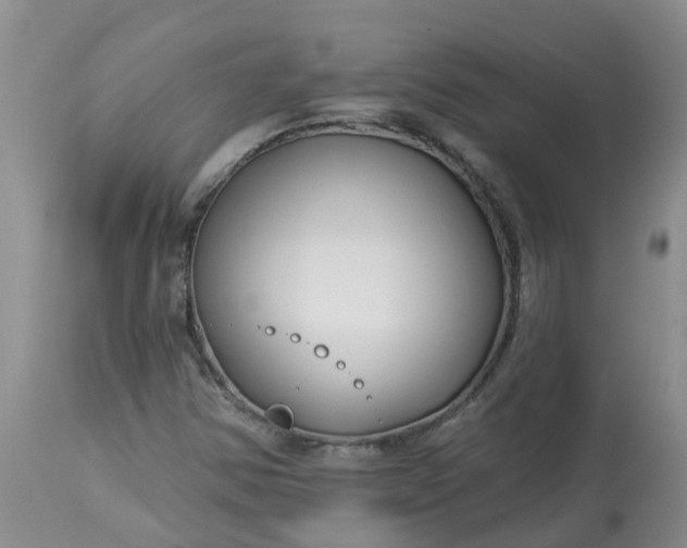 X0000113121354200909111129