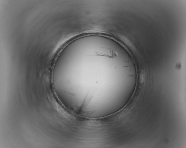 X0000113121356200909111129