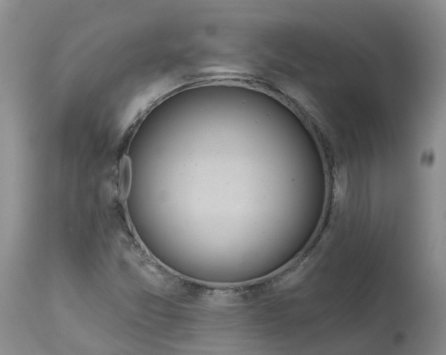 X0000113121357200909111129