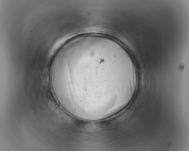 X0000113121358200909111129