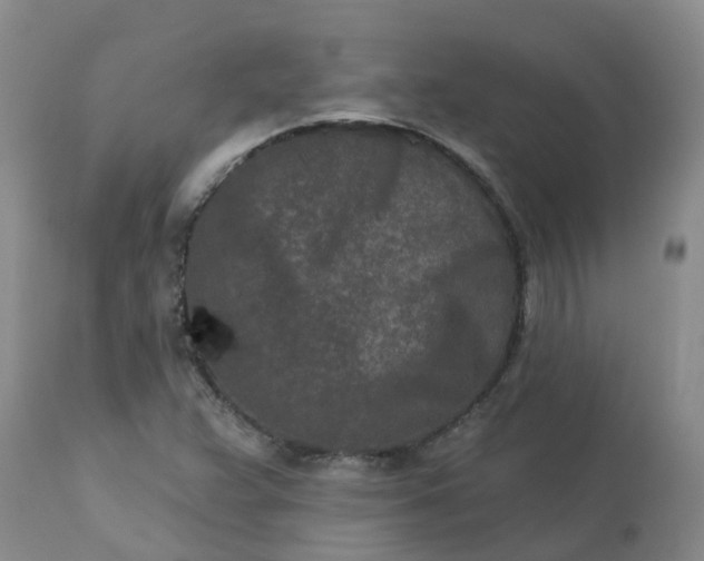 X0000113121359200909111129