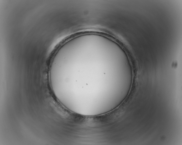 X0000113121360200909111129