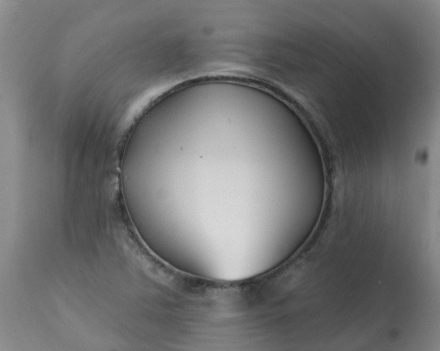 X0000113121363200909111129