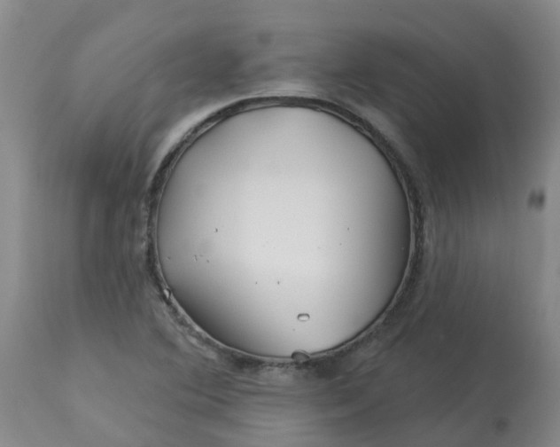 X0000113121364200909111129