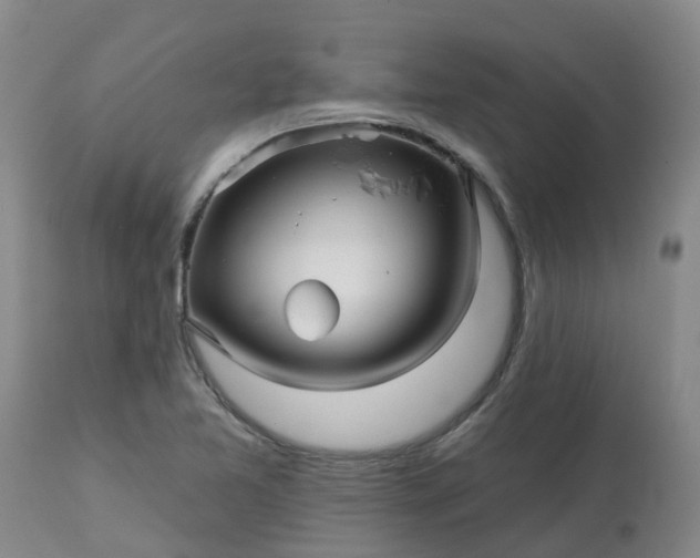 X0000113121365200909111129