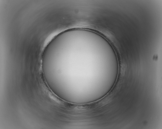 X0000113121366200909111129