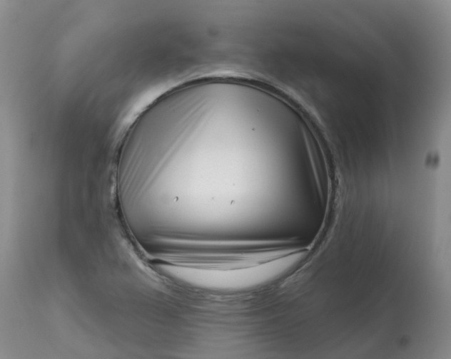 X0000113121367200909111129