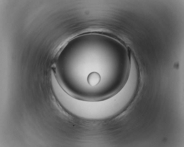 X0000113121369200909111129