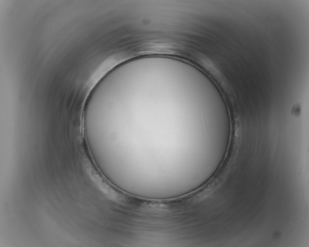 X0000113121370200909111129