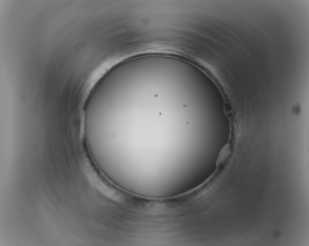 X0000113121371200909111129