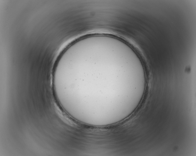 X0000113121372200909111129