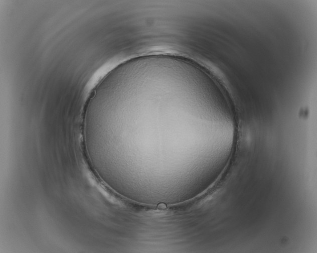 X0000113121373200909111129