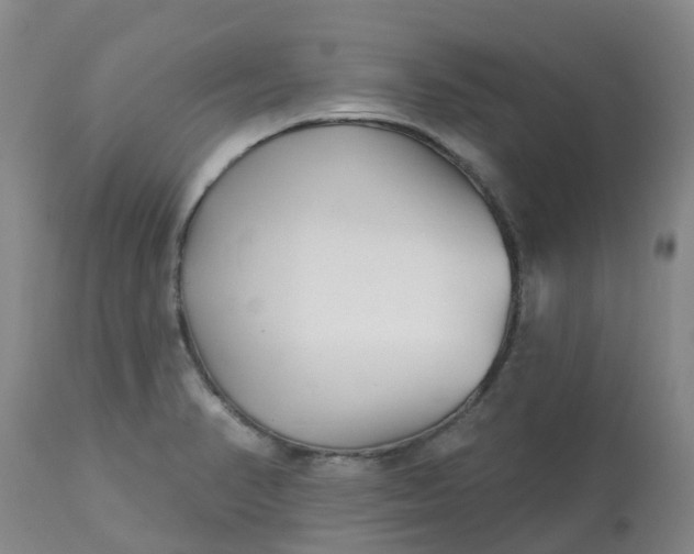 X0000113121374200909111129