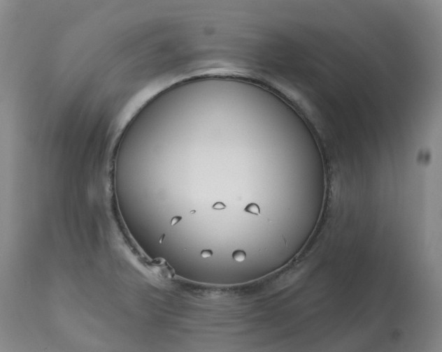 X0000113121375200909111129