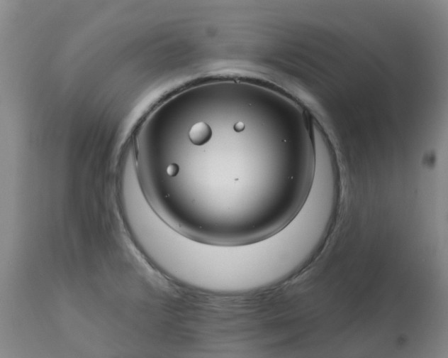 X0000113121376200909111129