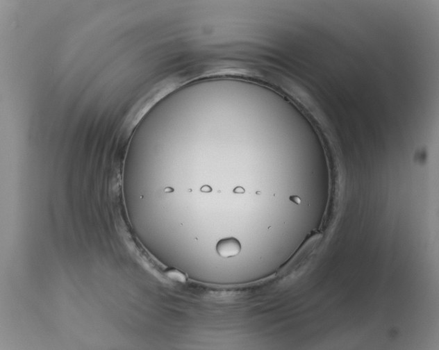 X0000113121377200909111129