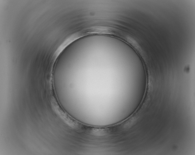 X0000113121378200909111128