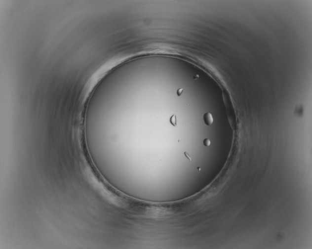 X0000113121379200909111128