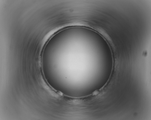 X0000113121380200909111128