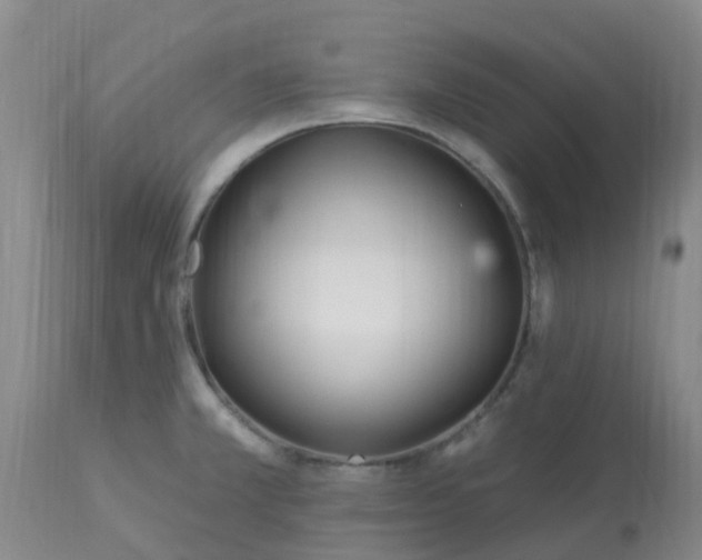 X0000113121381200909111128