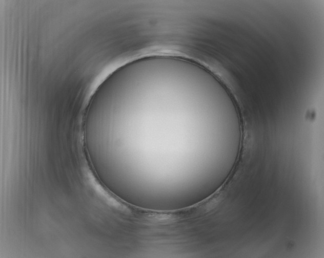 X0000113121382200909111128