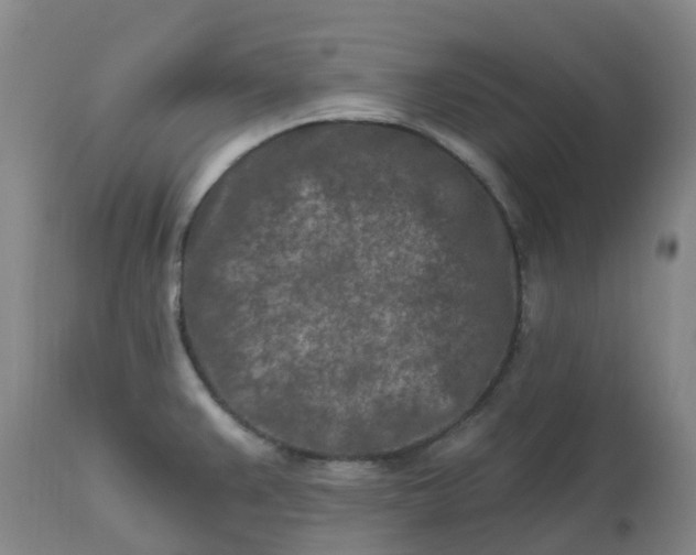 X0000113121383200909111128