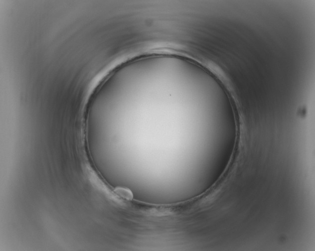 X0000113121384200909111128