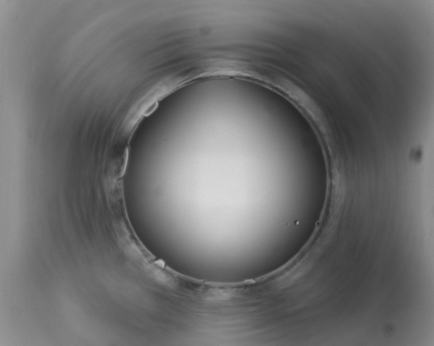 X0000113121385200909111128